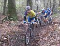 2009-11-08 sous-bois_redimensionner